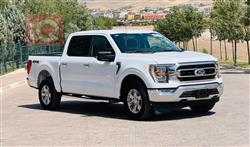 فۆرد F-150
